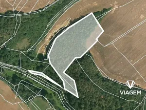 Prodej podílu lesa, Kaceřov, 4818 m2