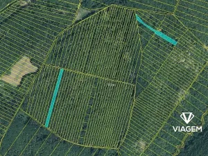 Prodej podílu lesa, Brno, 996 m2