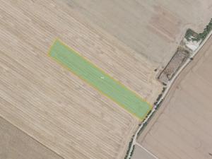 Prodej pole, Čachovice, 65324 m2