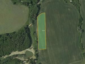 Prodej pole, Vranová, 7790 m2