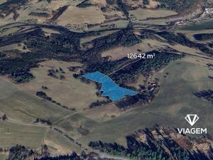 Prodej podílu lesa, Malá Bystřice, 197 m2