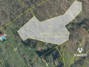 Prodej podílu lesa, Mšeno, 904 m2