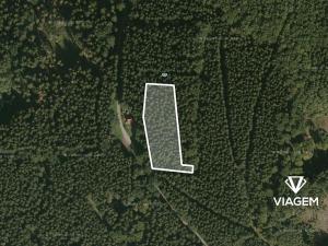 Prodej podílu lesa, Morávka, 2783 m2