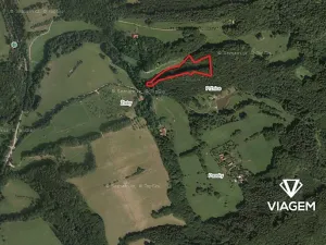 Prodej podílu lesa, Lutonina, 2332 m2
