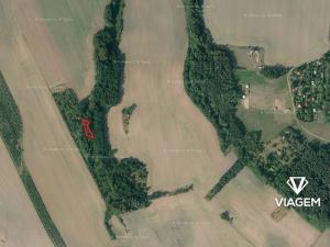 Prodej zahrady, Kojice, 500 m2