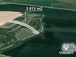 Prodej podílu pole, Nosislav, 953 m2