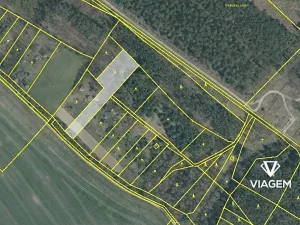 Prodej podílu pole, Bechlín, 1665 m2