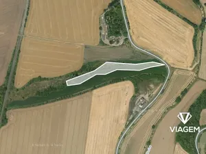 Prodej pole, Hřivice, 3572 m2