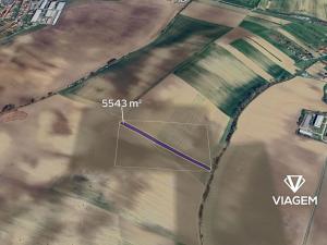 Prodej podílu pole, Lovčice, 1385 m2