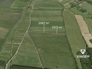 Prodej podílu pole, Javorník, 2058 m2