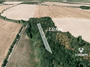 Prodej podílu lesa, Stěbořice, 1111 m2