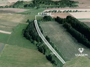 Prodej podílu lesa, Olešník, 647 m2