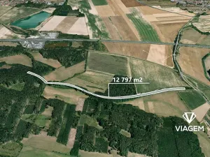 Prodej podílu lesa, Sokoleč, 1999 m2