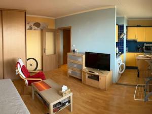 Pronájem bytu 1+kk, Kladno, Americká, 27 m2