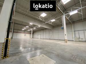 Pronájem skladu, Modřice, 3920 m2