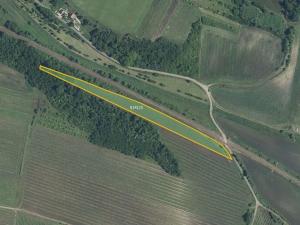 Prodej pole, Novosedly, 9816 m2