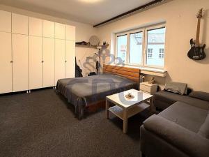 Pronájem bytu 1+1, Brno - Staré Brno, Nové sady, 48 m2