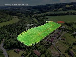 Prodej pozemku pro bydlení, Horní Poříčí, 44042 m2