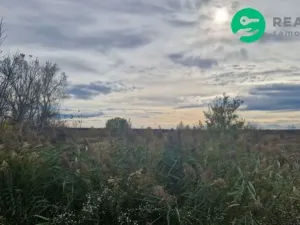 Prodej pole, Dubňany, 2371 m2