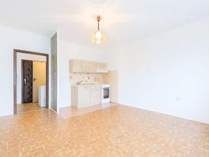 Pronájem bytu 2+kk, Ústí nad Labem, Brandtova, 40 m2