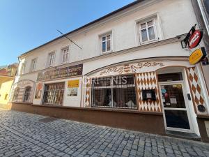 Pronájem rodinného domu, Chomutov, Příční, 250 m2