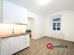 Pronájem bytu 1+1, Praha - Podolí, Sinkulova, 27 m2