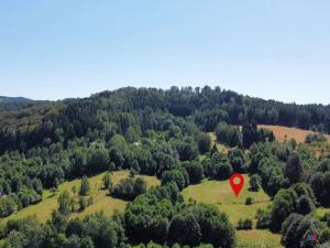 Prodej pozemku pro bydlení, Olešnice v Orlických horách, 3027 m2