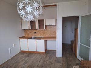 Pronájem bytu 1+kk, Děčín, Kamenická, 20 m2