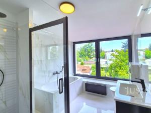 Pronájem bytu 2+kk, Písek - Budějovické Předměstí, Tylova, 67 m2