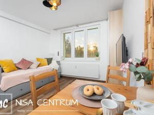 Pronájem bytu 1+kk, Velké Hamry, 27 m2