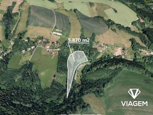 Prodej podílu zahrady, Stružinec, 2935 m2