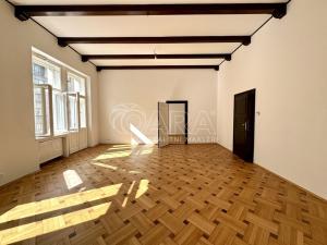 Pronájem kanceláře, Praha, Revoluční, 125 m2