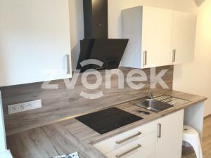 Pronájem bytu 2+kk, Holešov, Palackého, 55 m2