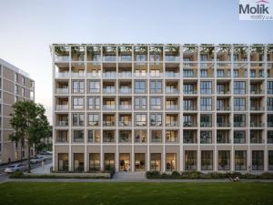 Prodej bytu 2+kk, Golem, 61 m2