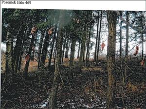 Prodej podílu lesa, Jihlava, 11793 m2