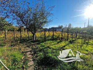 Prodej rodinného domu, General Toševo, Bulharsko, 72 m2