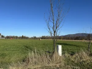 Prodej pozemku pro bydlení, Návsí, 3207 m2