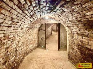 Prodej - jiné, Nový Šaldorf-Sedlešovice - Nový Šaldorf, 145 m2