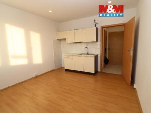 Pronájem bytu 1+kk, Ostrov, Kollárova, 21 m2