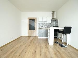 Pronájem bytu 1+kk, Plzeň, Nemocniční, 29 m2