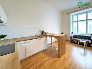 Pronájem bytu 1+kk, Brno, Běhounská, 31 m2
