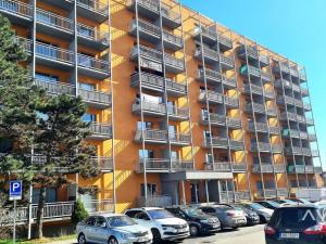 Prodej bytu 1+kk, Brno, Božetěchova, 24 m2