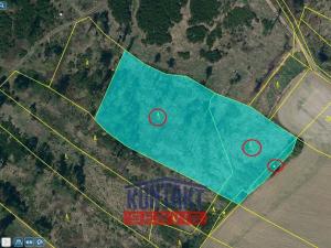 Prodej lesa, Volfířov - Řečice, 12476 m2