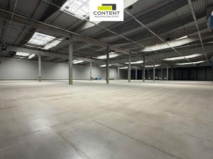 Pronájem výrobních prostor, Bor - Nová Hospoda, 20662 m2