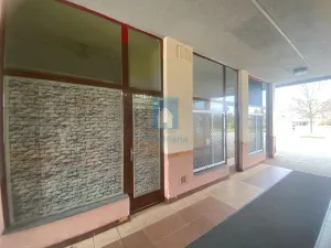 Pronájem obchodního prostoru, Plzeň, Karla Steinera, 18 m2