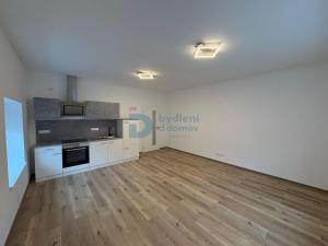 Pronájem bytu 1+kk, Doloplazy, 45 m2