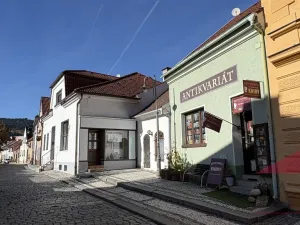 Prodej obchodního prostoru, Sušice - Sušice II, Příkopy, 135 m2