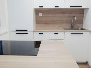 Pronájem bytu 1+1, Frýdek-Místek, I. P. Pavlova, 36 m2