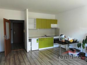 Pronájem bytu 1+kk, Nový Jičín - Loučka, Na Lani, 30 m2