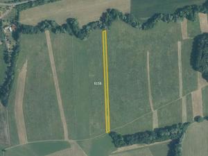 Prodej pole, Police, 4489 m2